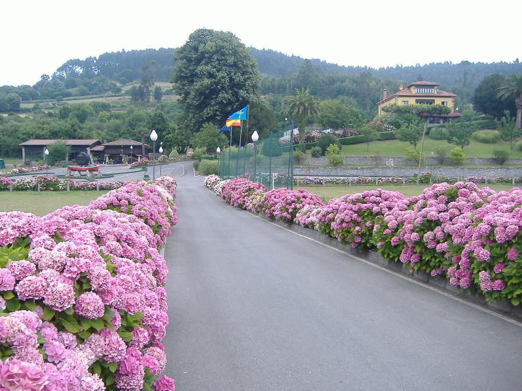 El Foyu Hotel Colunga Buitenkant foto